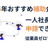 一人社長でも申請できる！2025年おすすめ補助金5選【従業員ゼロでもOK】