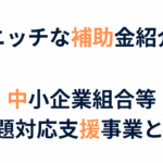 中小企業組合向け補助金