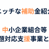 中小企業組合向け補助金
