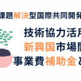 新興国支援補助金