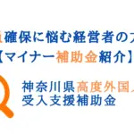 外国人材採用補助金
