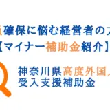 外国人材採用補助金